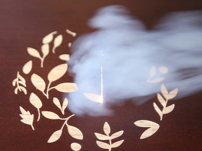 曹縣魯藝木業(yè)有限公司